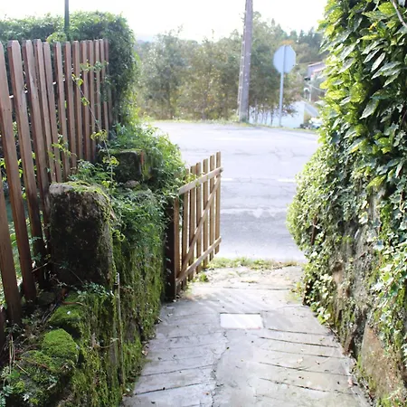 Casa-loft En El Bosque