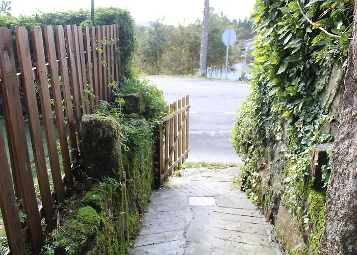 Casa-loft En El Bosque